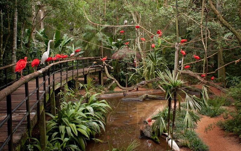 Foz do Iguaçu, Cataratas do Iguaçu, Argentina e Paraguai