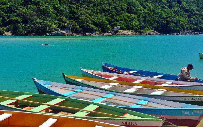 Santa Catarina: Praia do Rosa, Guarda do Embau, Pinheira, Laguna, Garopaba, Torres.   