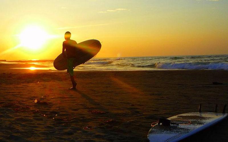 Santa Catarina: Praia do Rosa, Guarda do Embau, Pinheira, Laguna, Garopaba, Torres.   
